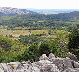 Wandern Pollença / Pollensa