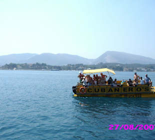 Schildkröte auf der Fahrt Caretta, Caretta