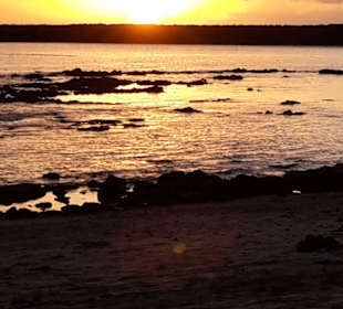 Sonnenuntergang (Ebbe)