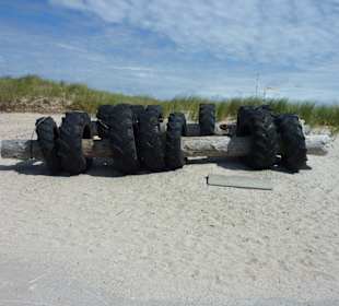 Ausflug Büsum Helgoland
