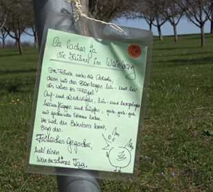 Premiumwanderweg "hochgeblickt"