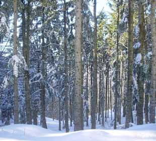La sorgente del Tevere
