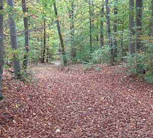 Wandertour "Rund um den Rossberg" Öschingen