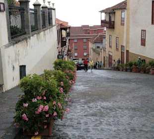 Vip- Tour, La Oratava