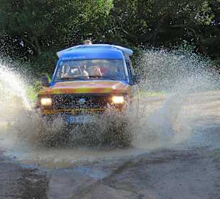 Green Devil Safari