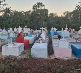 Impressum dem Bus heraus