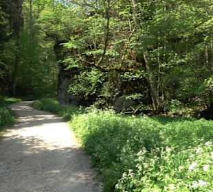 Premiumwanderweg Hochgehschätzt