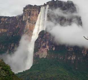Angel Falls 