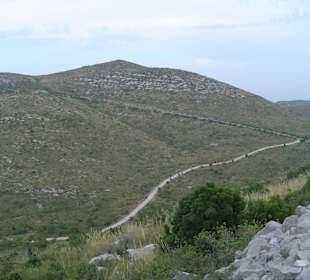 Carretera dentro del parque