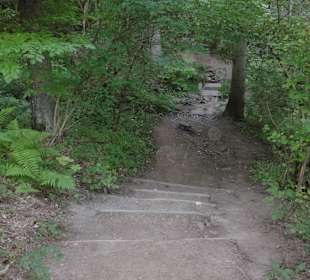 Wanderweg Wutachschlucht