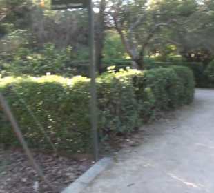 Real Jardín Botánico de Madrid