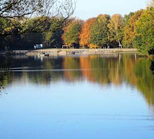 Impressionen vom Rundgang am Achterdieksee