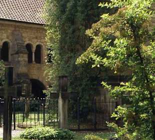 Der Tausendjährige Rosenstock