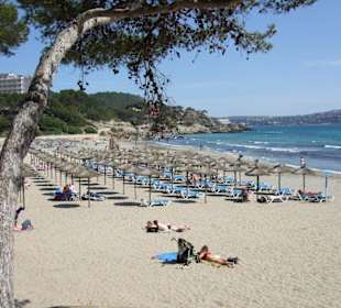 Blick auf einen Strand von Paguera