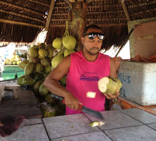 Erfrischendes aus der Kokosnuss