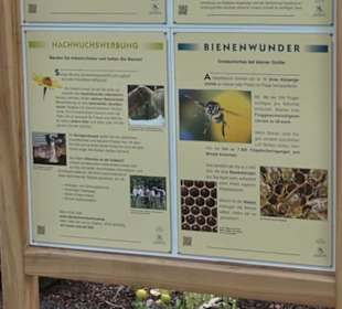 Blühendes Neresheim