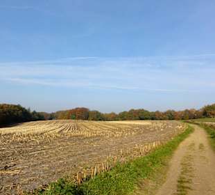 Weg auf den Weyerberg zum Niedersachsenstein