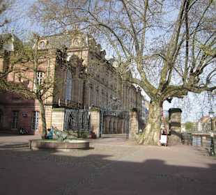 Altstadt Straßburg im Frühling