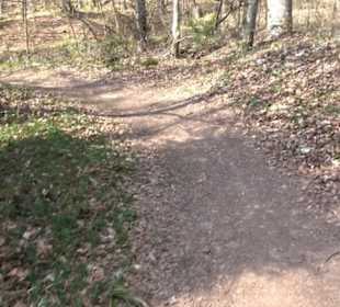 Geologischer Lehrpfad Kirnbachtal