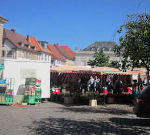Markt Landau in der Pfalz