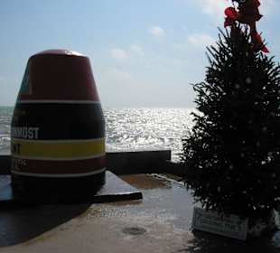 Southernmost Point mit Weihnachtsbaum