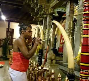 Kandy Zahntempel