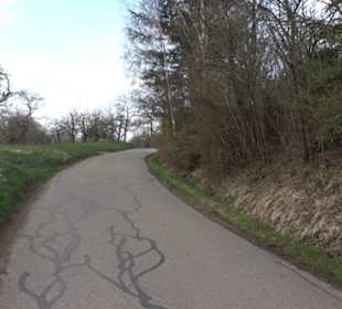 Der Grafenberg