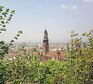 Freiburg Schlossberg 5