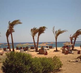 Bucht von Abu Dabbab