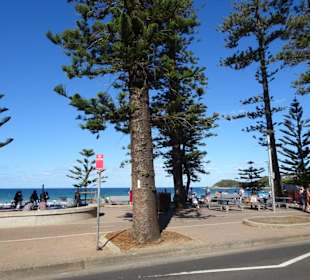 Stadtrundgang Sydney