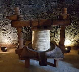 Weinmuseum und Kakteen-Ausstellung El Grifo