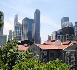 Ann Siang Hill Park