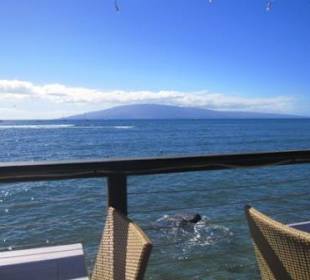 Essplatz mit Blick auf Lanai