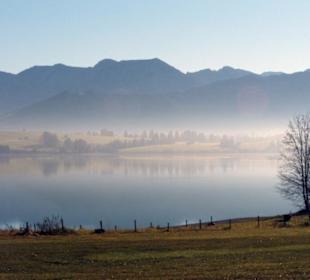 Frühmorgens am Forgensee.