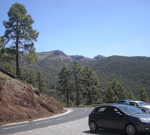 Park Teide