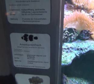 Meeresmuseum Stralsund