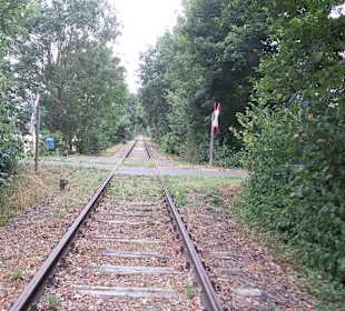 Draisinen Tour Altenglan