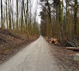Rückblick vom Weg her