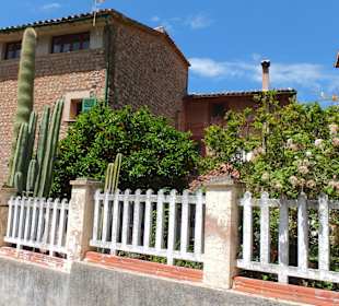 Tolle Häuser und Pflanzen