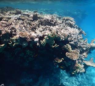 Riff zu erkunden!