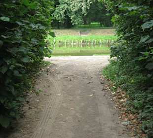 Park przy Pałacu w Nieborowie