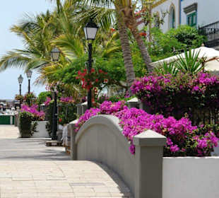 Mostki przy porcie...