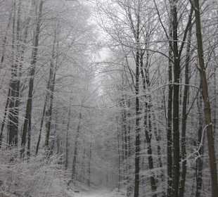 W drodzę na Ślężę