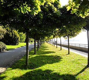Spaziergang an der Weserpromenade
