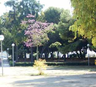 Parc de la Mar
