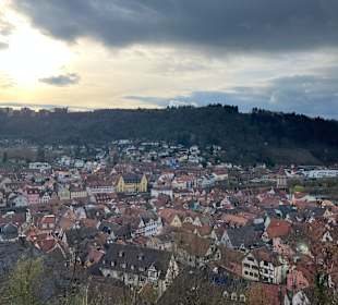 Ausblick Burg Wertheim