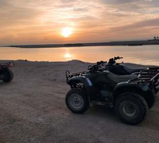 Quad Tour 