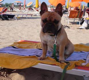 Seine eigene Sonnenliege 