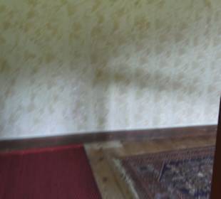 Schlössle von Effringen