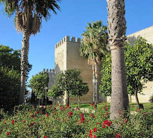 Excursión a Jerez